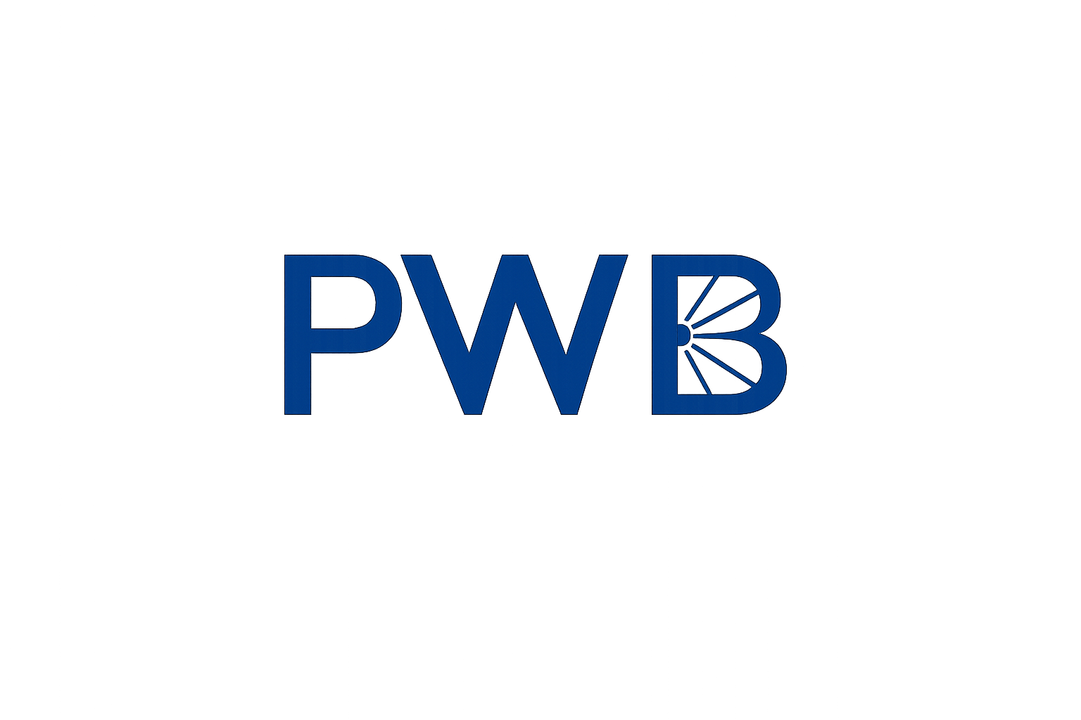 PWB — Professional Wheel Building